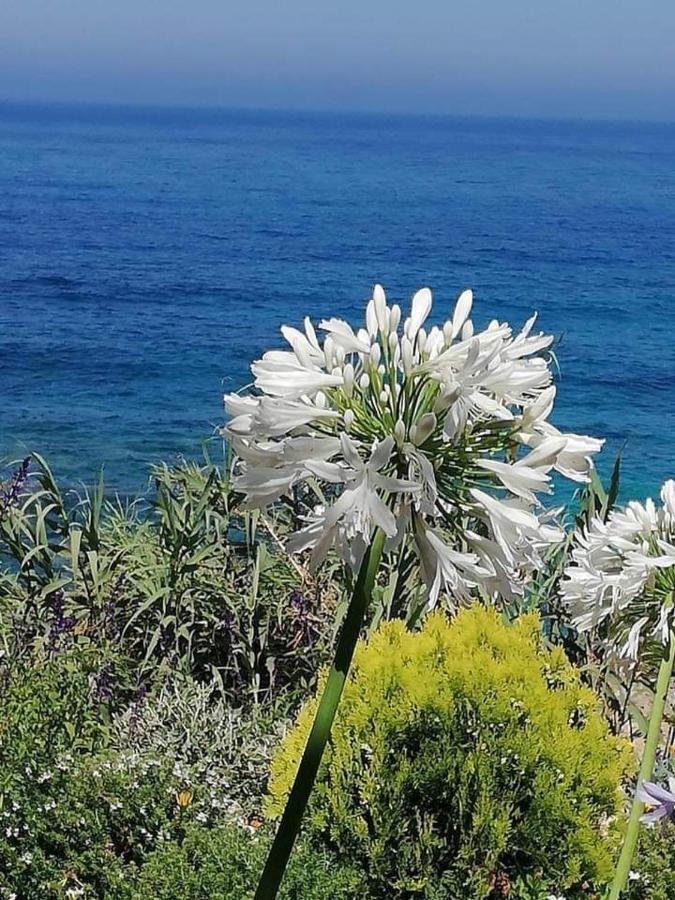 Ikaria Village-Ground Floor Apartment No 4 Хлоракас Экстерьер фото